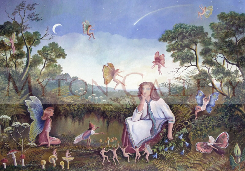 I Don't Believe In Fairies picture by artist Bruce Kendall