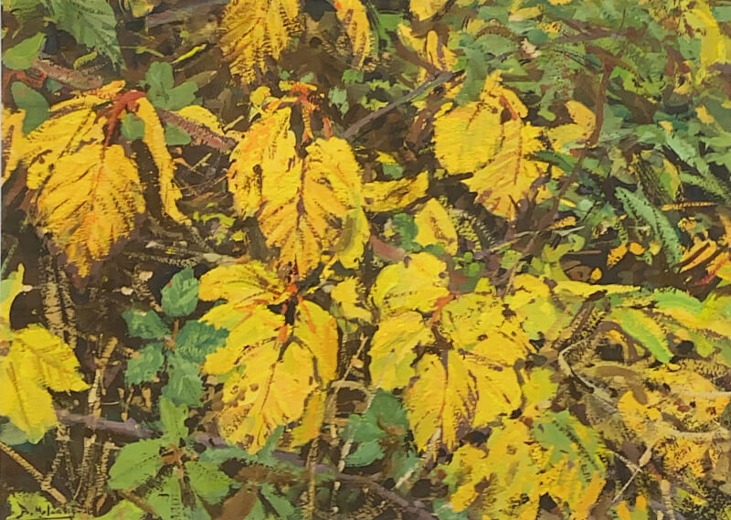 bruce_mulcahy_autumn_colours_bm232_800