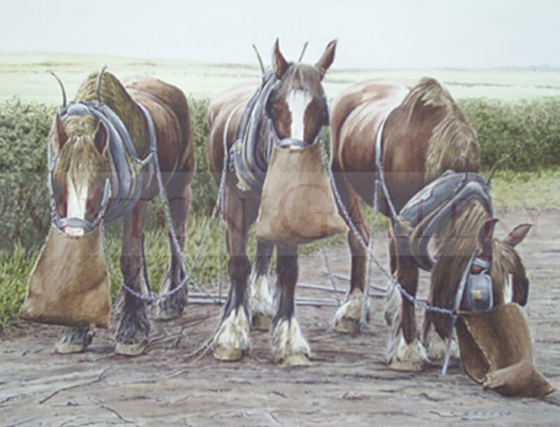 Shire Horses at Feeding Time painting by artist Ron Spoors